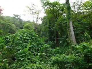 Ban Pailin Hill Hotel